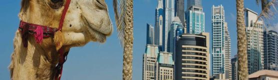 فروش اقساطی مسکن در دبی