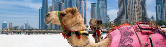 خرید سویت در امارات دبی