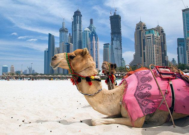 خرید سویت در امارات دبی